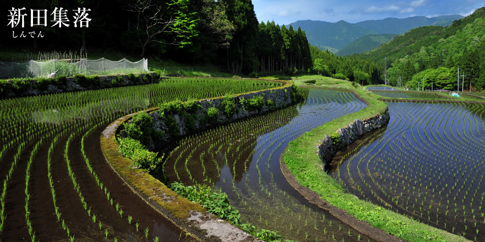新田集落